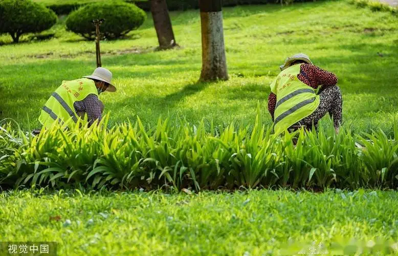 天水公園園林綠化工程項(xiàng)目